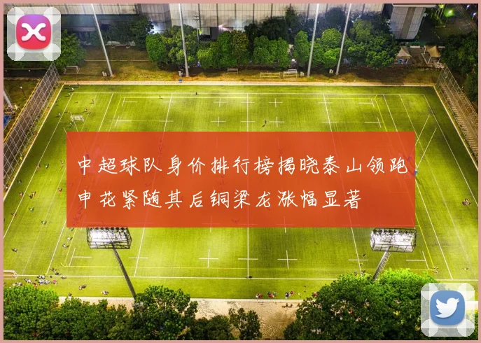中超球队身价排行榜揭晓泰山领跑申花紧随其后铜梁龙涨幅显著